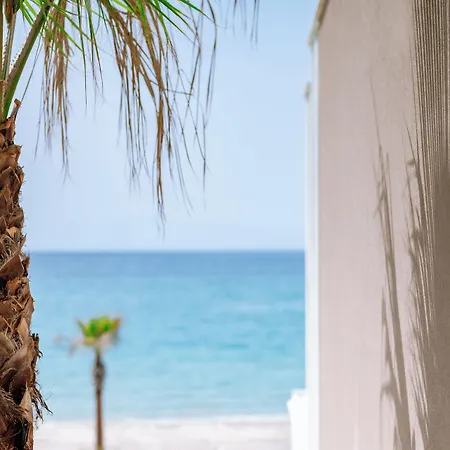 Отель Zest Thassos Luxury Retreat 4*