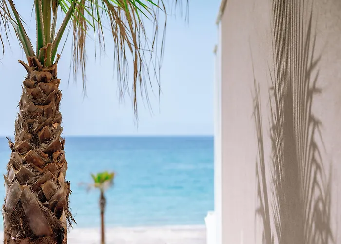 호텔 Zest Thassos Luxury Retreat 4*